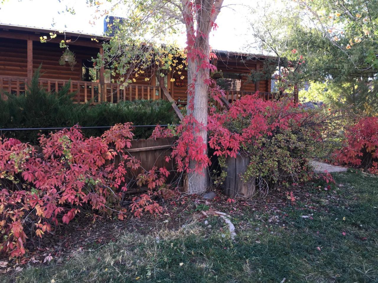 Canyon Wren Bed And Breakfast Lake Bluff Exterior foto