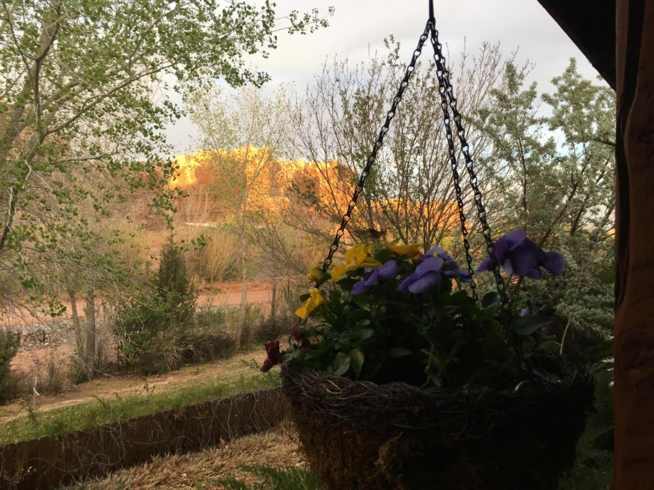 Canyon Wren Bed And Breakfast Lake Bluff Exterior foto